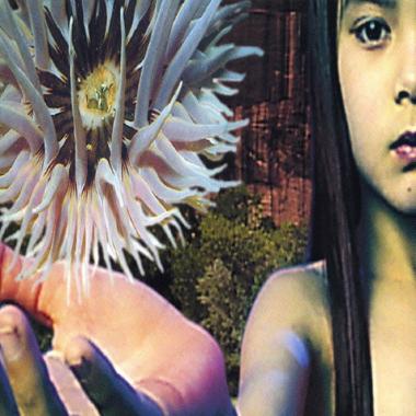 Future Sound Of London -  Lifeforms